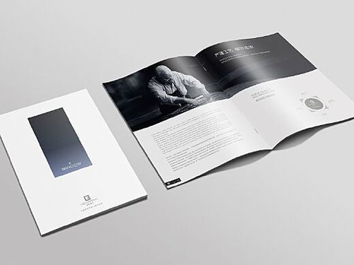 門窗畫冊設(shè)計服務(wù) 打造專業(yè)、美觀的品牌展示窗口
